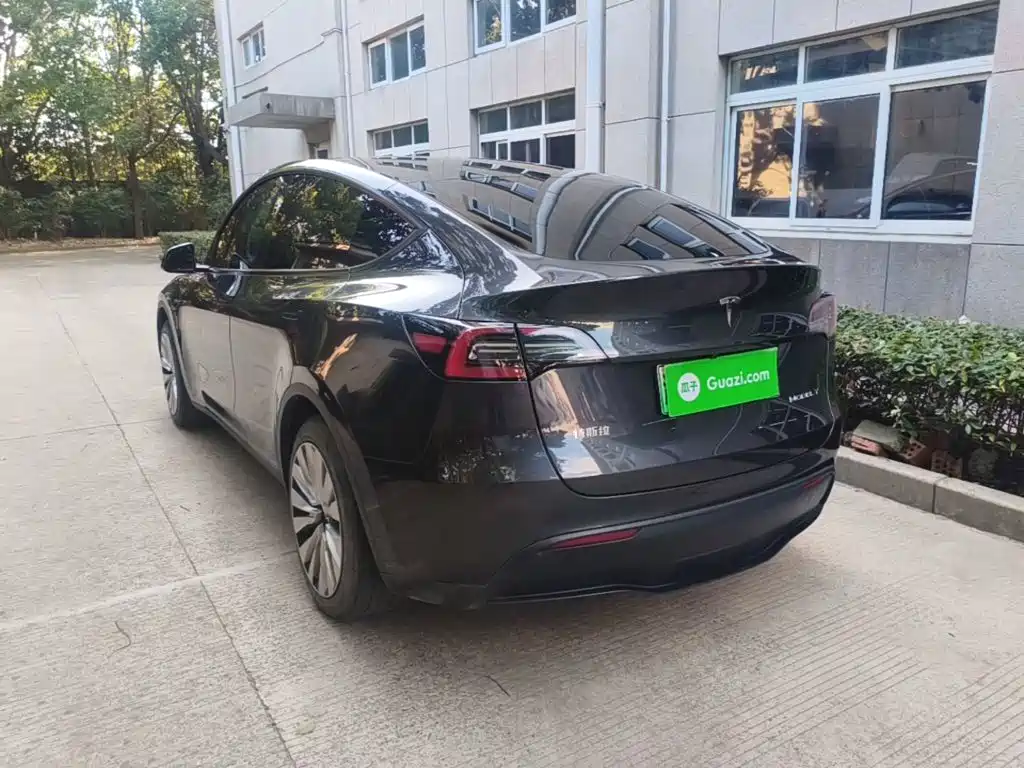 Tesla Model Y — миниатюра 5