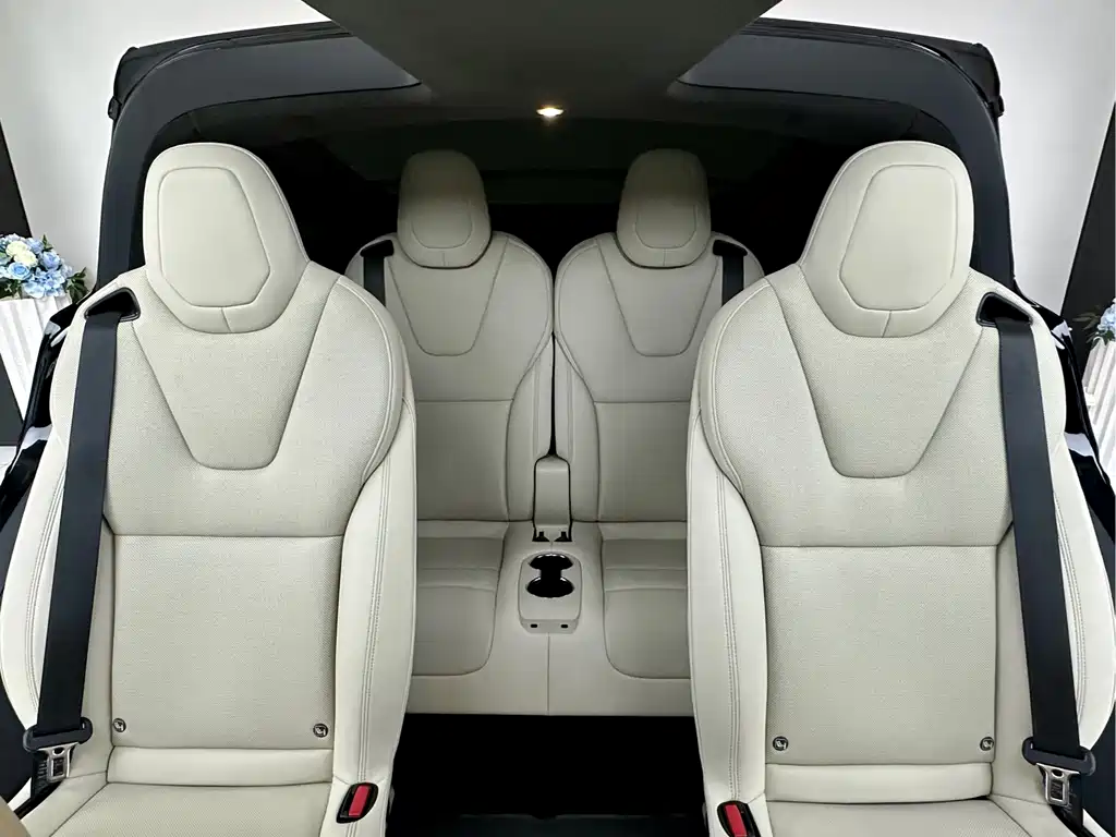 Tesla Model X — миниатюра 13