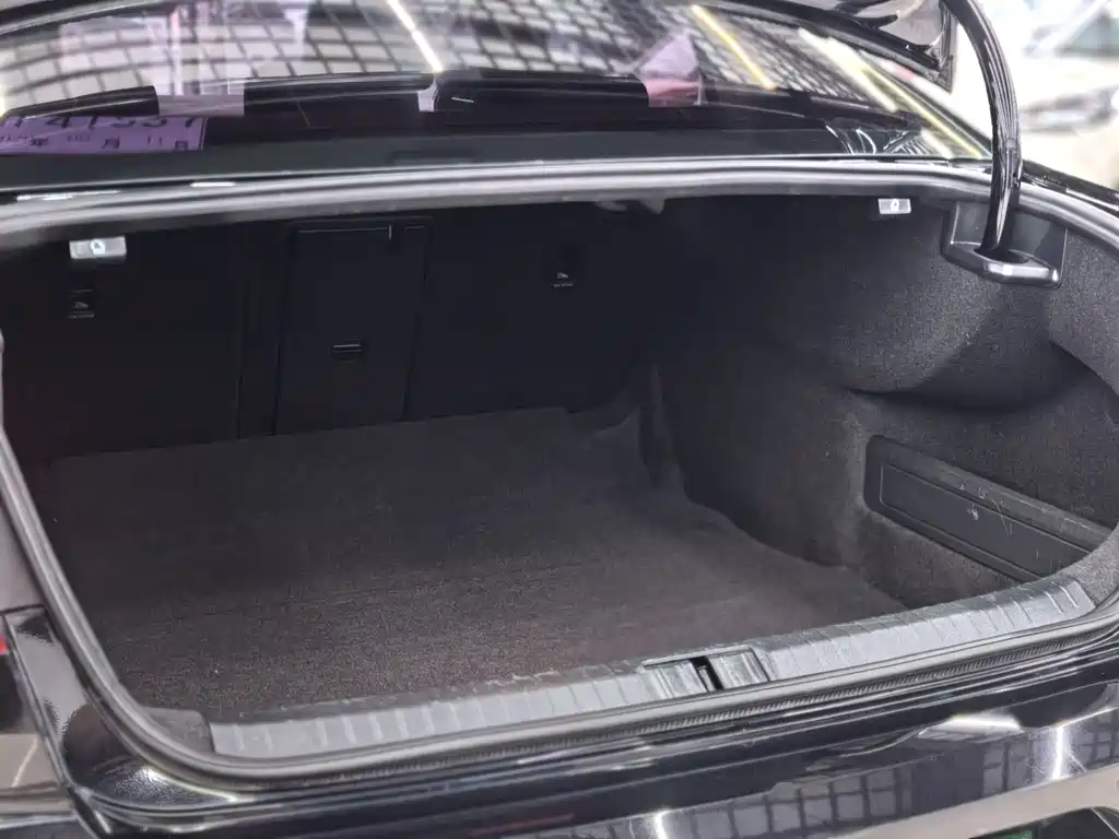 Volkswagen Magotan 2017 330TSI DSG Luxury