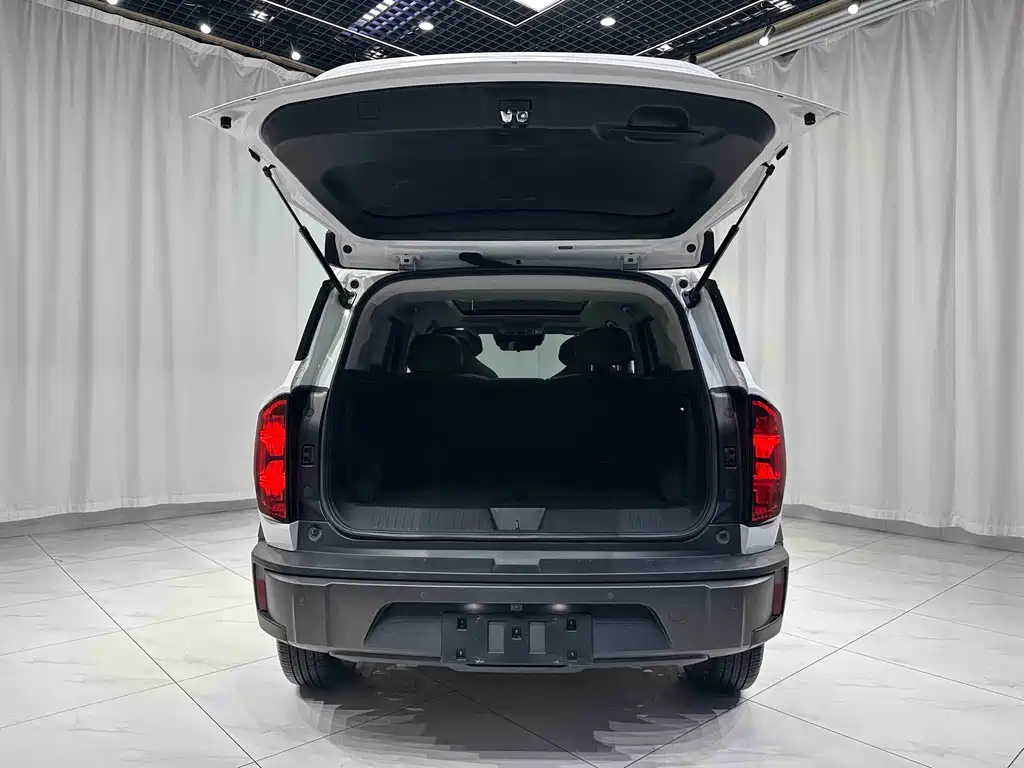 Haval Cool Dog — миниатюра 17
