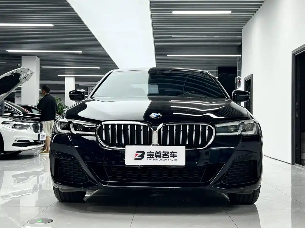 BMW 5 Series — миниатюра 2