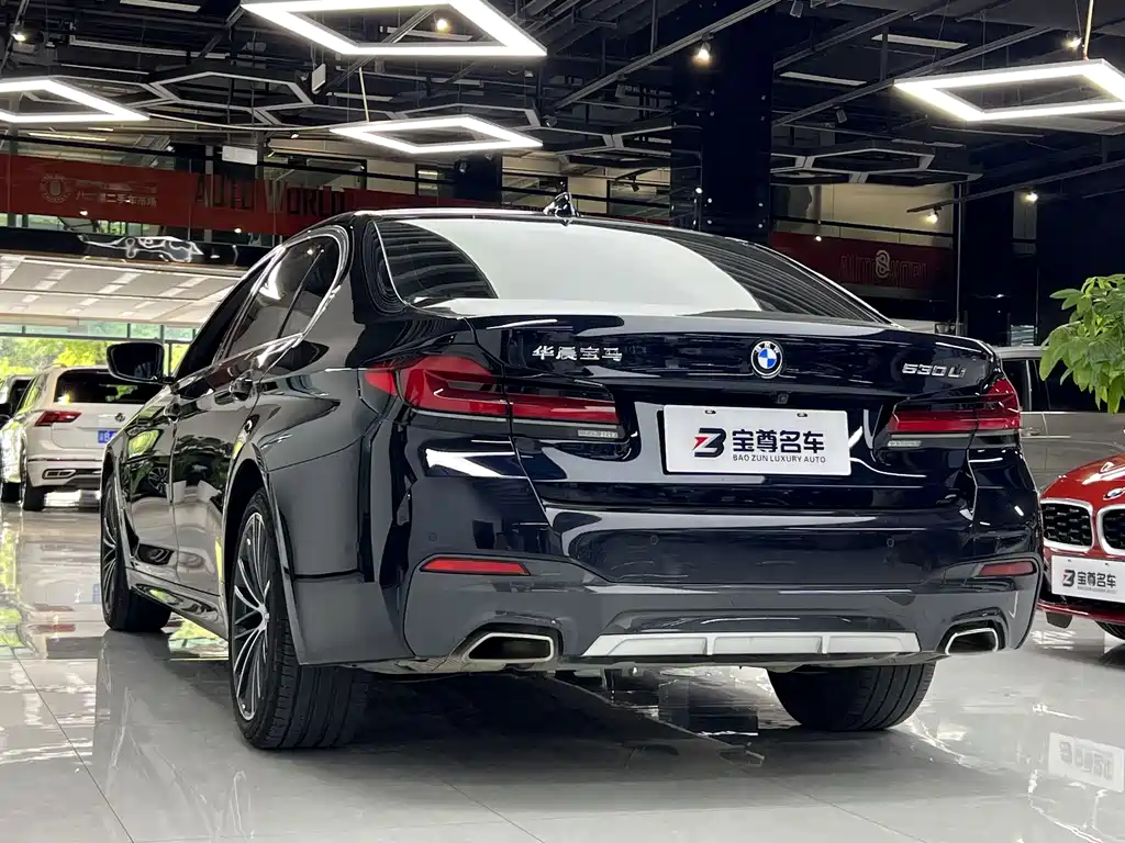 BMW 5 Series — миниатюра 12