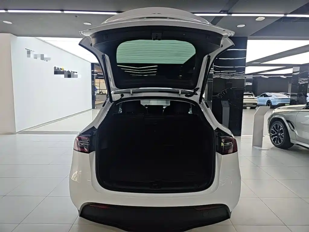 Tesla Model Y — фотографии объявления, Фото 19