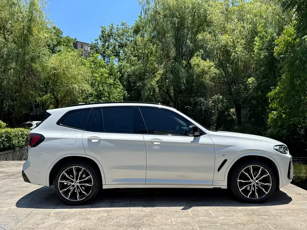 BMW X3 — миниатюра 8