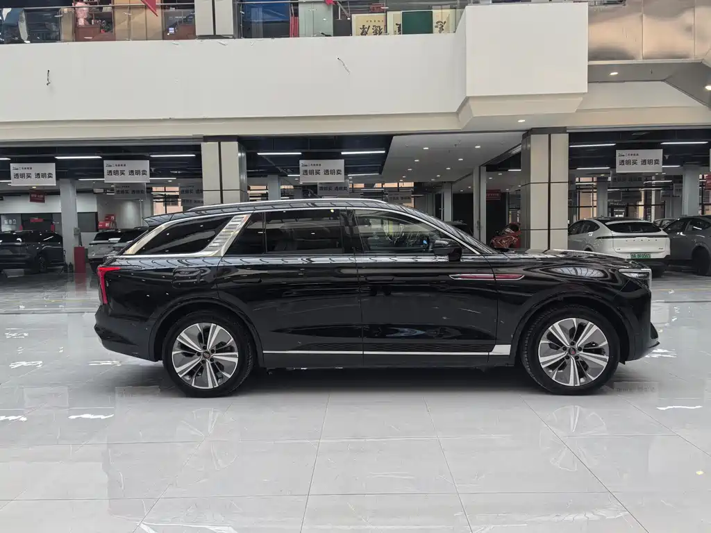 Hongqi E-HS9 2022 690km мест