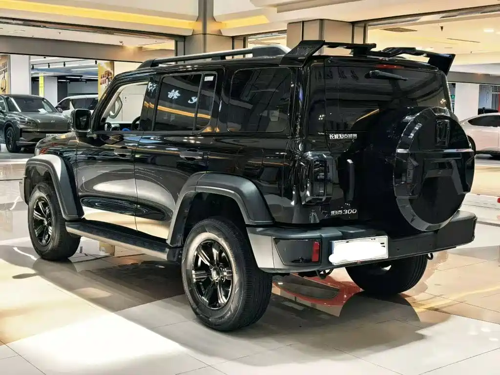 Tank 300 2024 2.0T