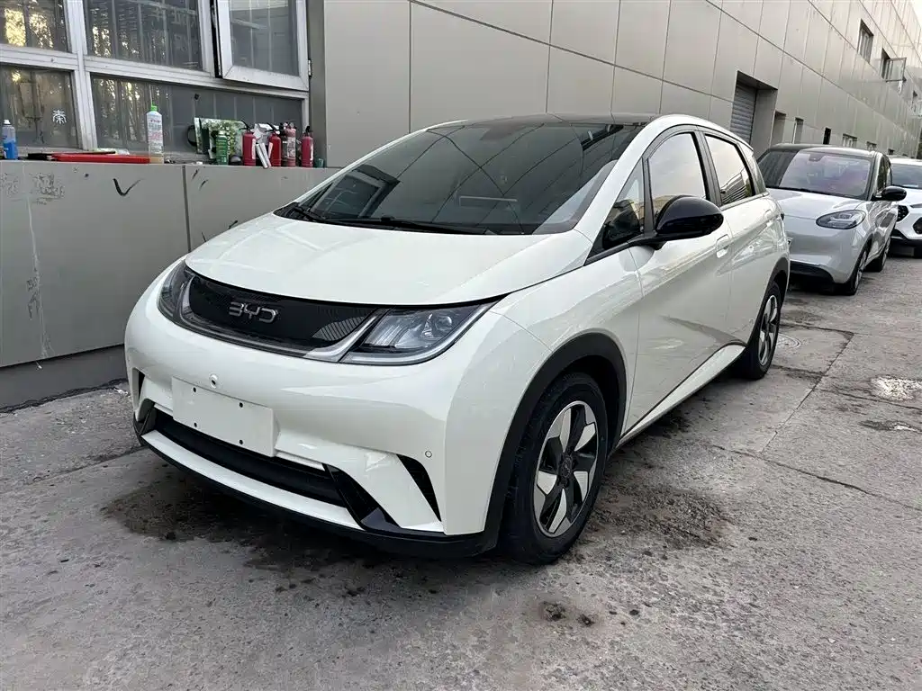 Byd Dolphin 2024