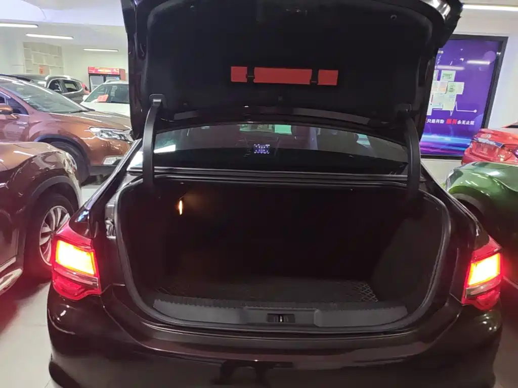 DS DS 5LS — миниатюра 19