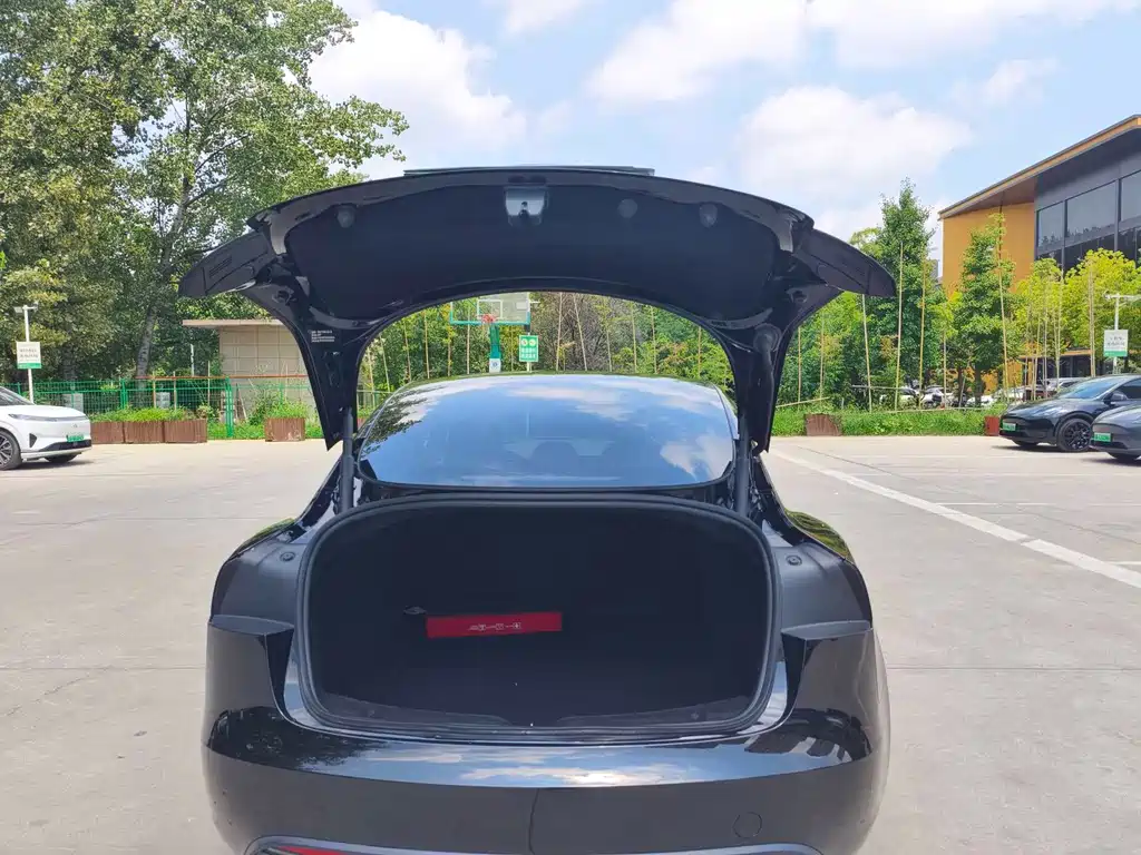 Tesla Model 3 — миниатюра 18
