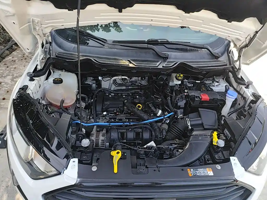 Ford Ecosport — миниатюра 20