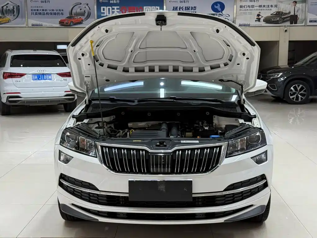 Skoda Karoq TSI280 Luxury Enjoy Edition, фото 7