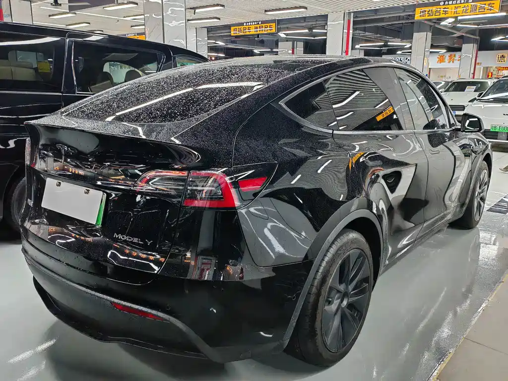 Tesla Model Y — миниатюра 6