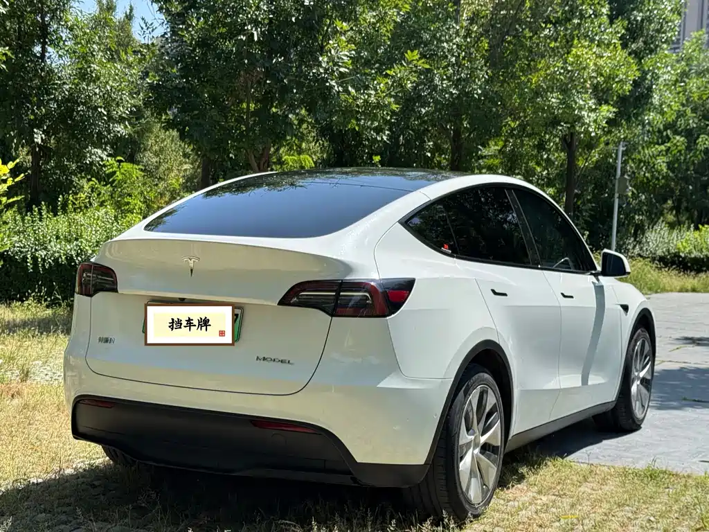 Tesla Model Y — миниатюра 18