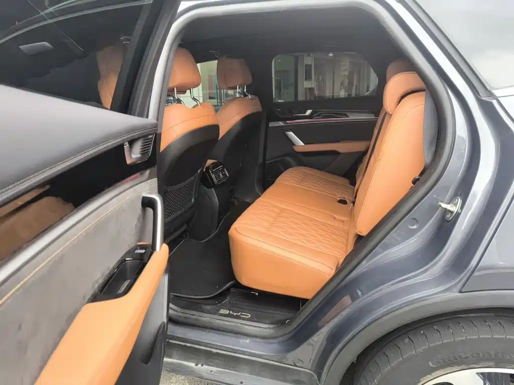 BYD Tang New Energy — миниатюра 13