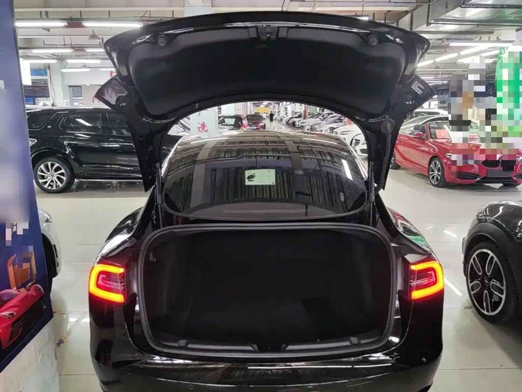 Tesla Model 3 — миниатюра 19