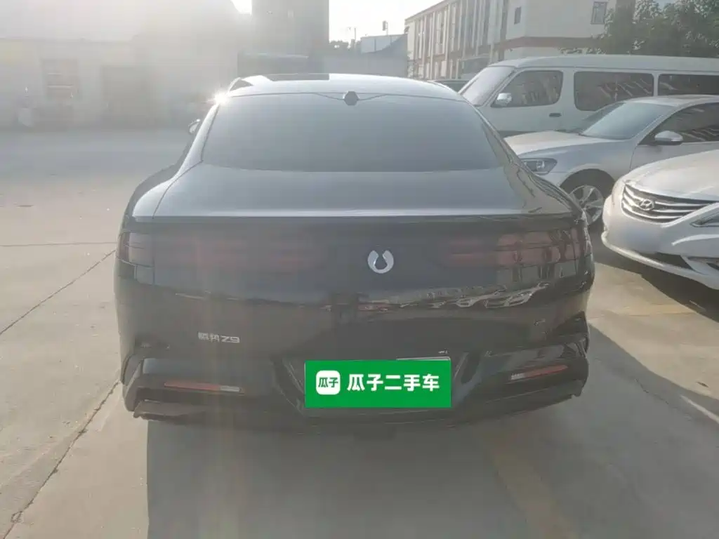 Denza Denza Z9 — миниатюра 6