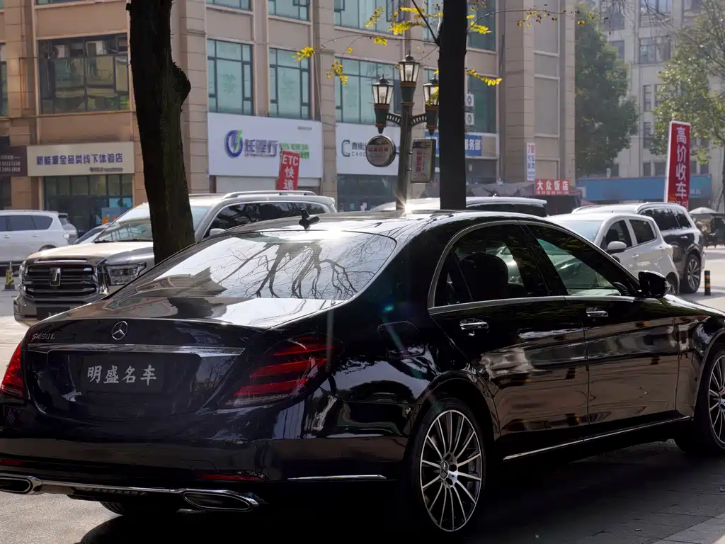 Mercedes-Benz S-Class — миниатюра 7
