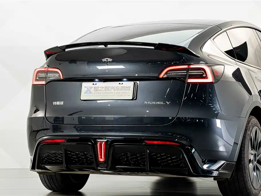 Tesla Model Y — миниатюра 7