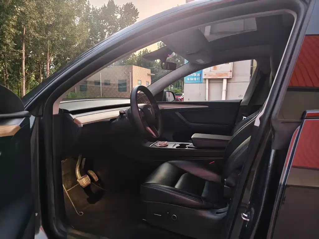 Tesla Model Y — миниатюра 3