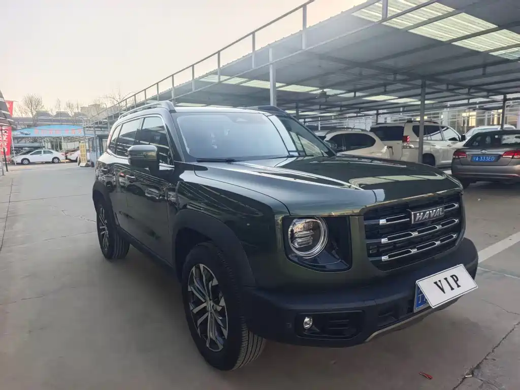 HAVAL BIG DOG