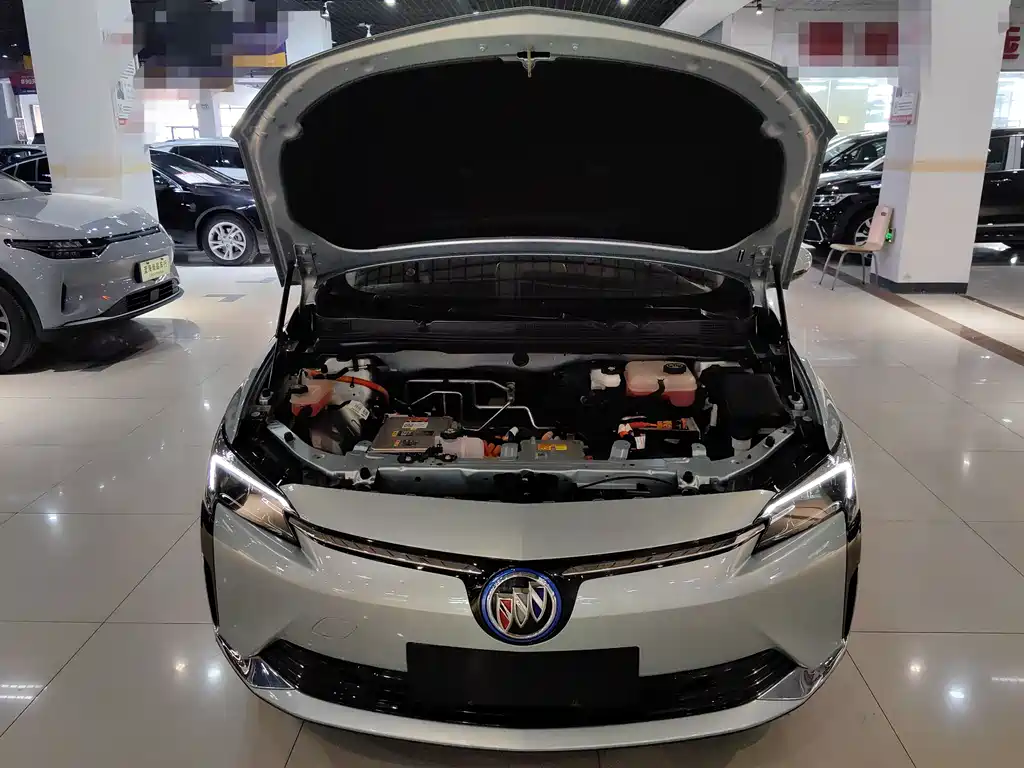 BUICK SLIGHTLY BLUE 6