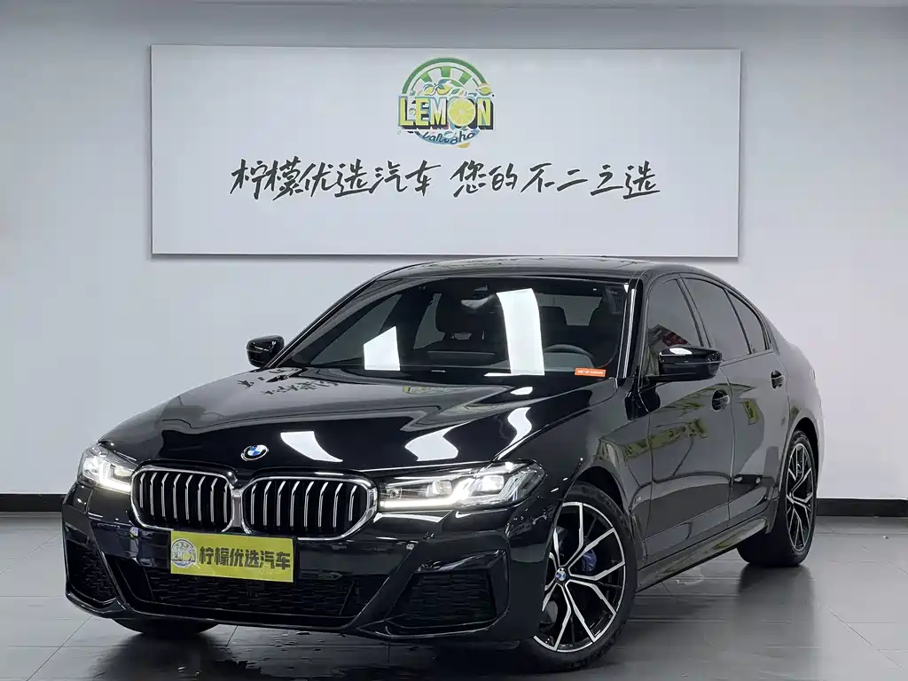 BMW 5 Series (Import) — миниатюра 2