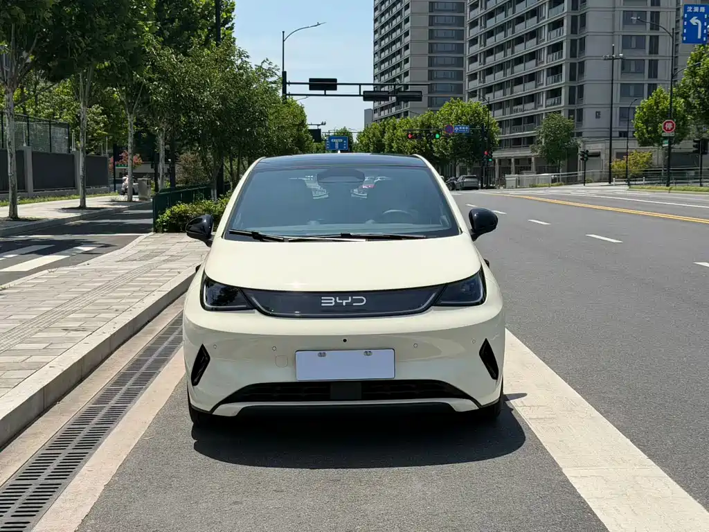 BYD Dolphin 2025 Smart Drive 410km Fashion