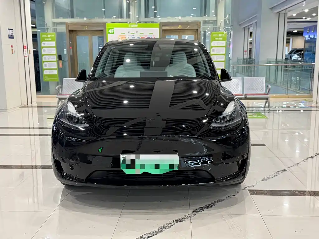 Tesla Model Y — миниатюра 2
