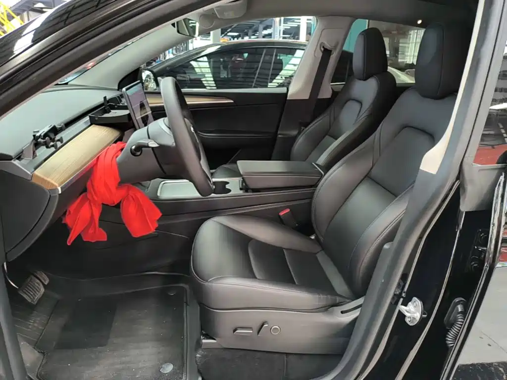 Tesla Model Y — миниатюра 15