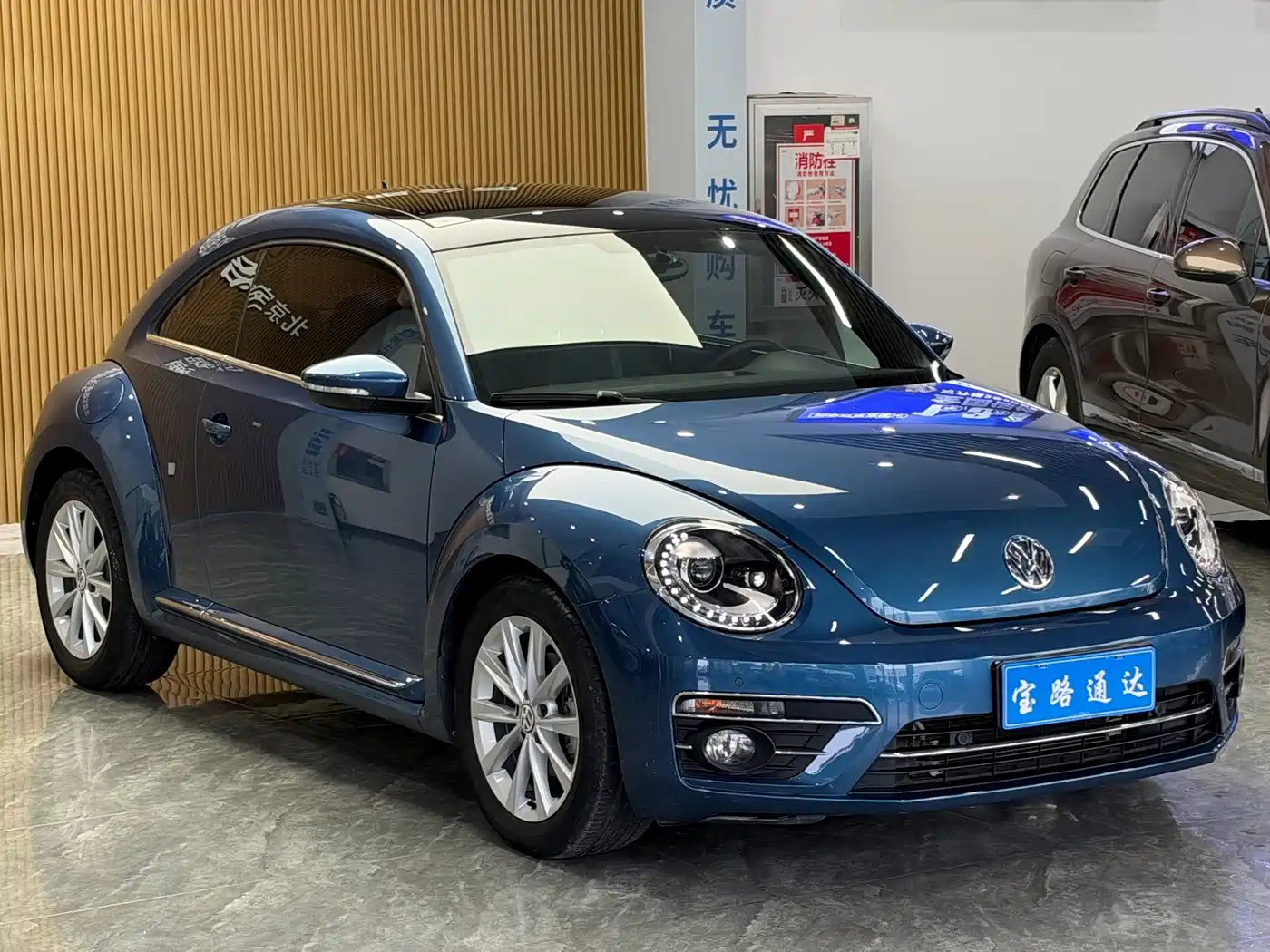 Volkswagen Beetle