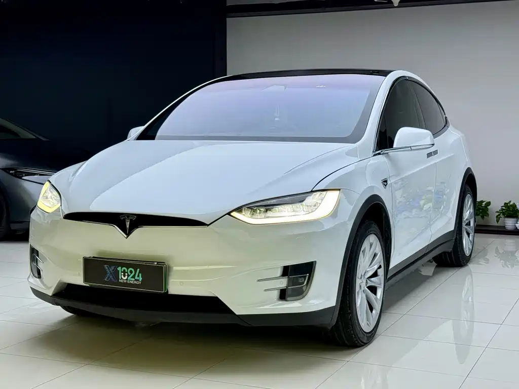 Tesla Model X 2019