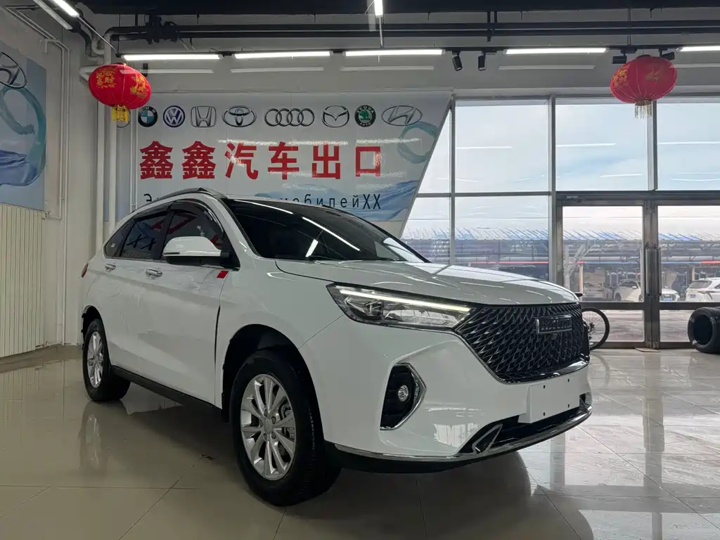 HAVAL M6