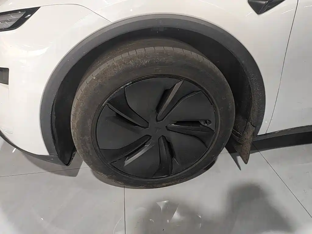 Tesla Model Y — миниатюра 23