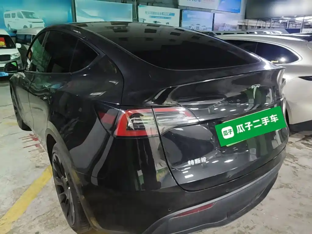 Tesla Model Y — миниатюра 5
