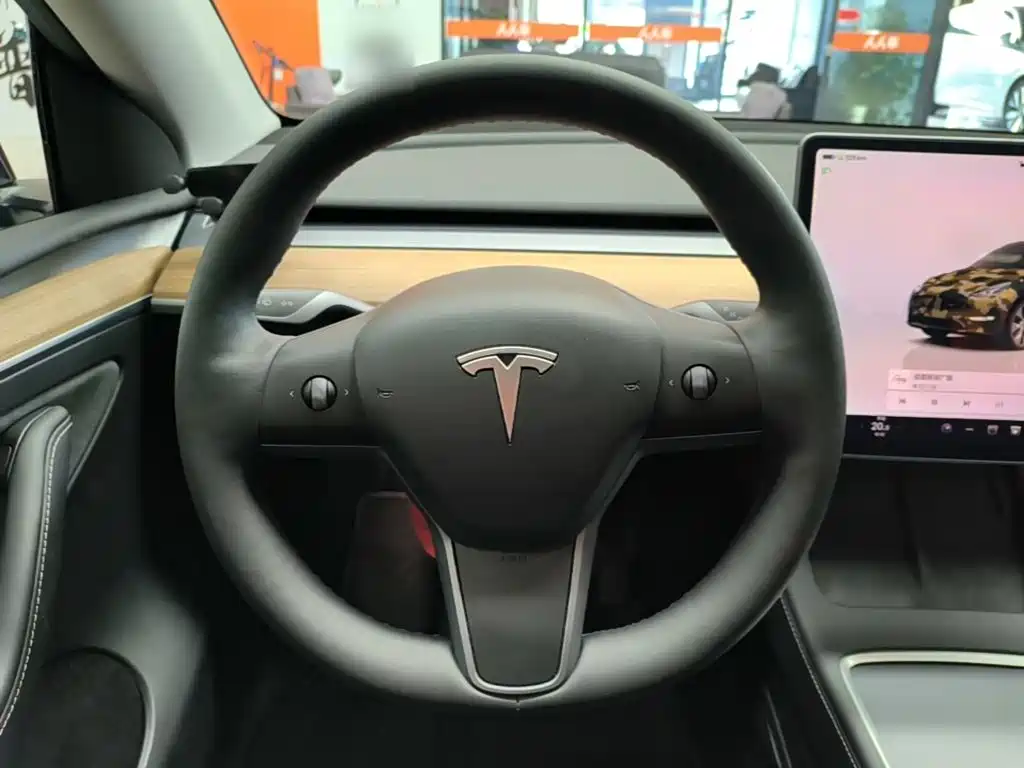 Tesla Model Y — миниатюра 11