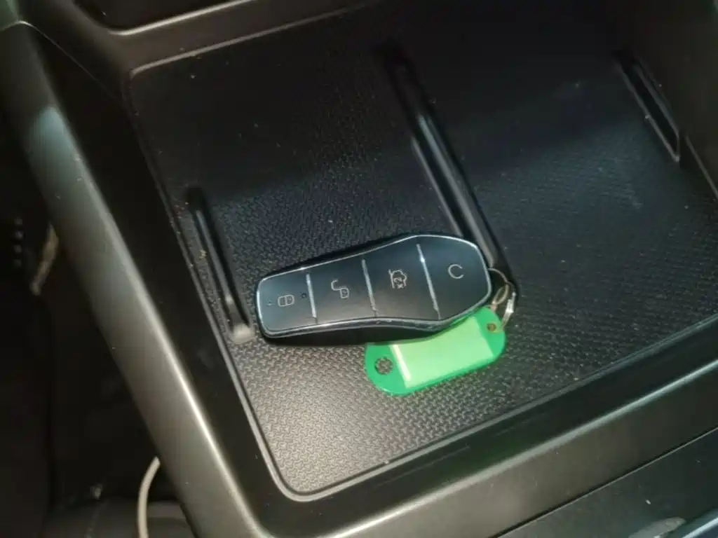 BYD Qin Plus PLUS 2025 DM-i Smart Drive 55KM Lead