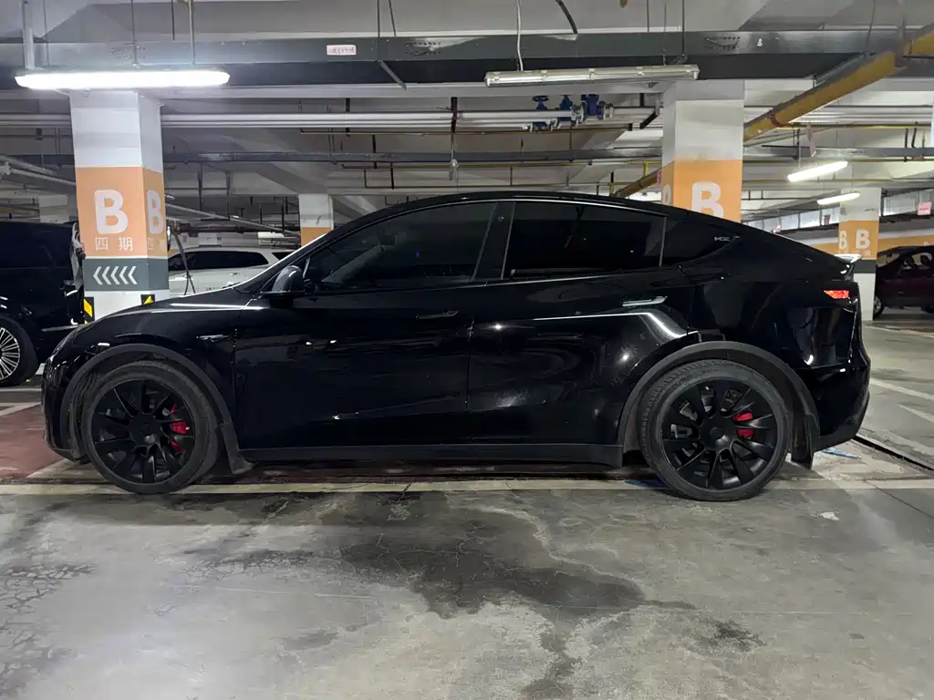 Tesla Model Y — миниатюра 12