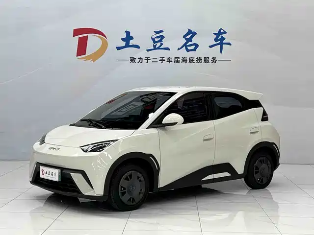 2025 BYD Seagull