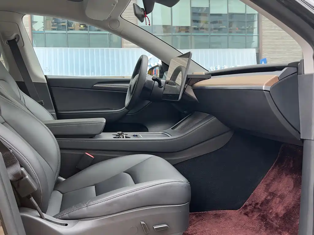Tesla Model Y — миниатюра 15