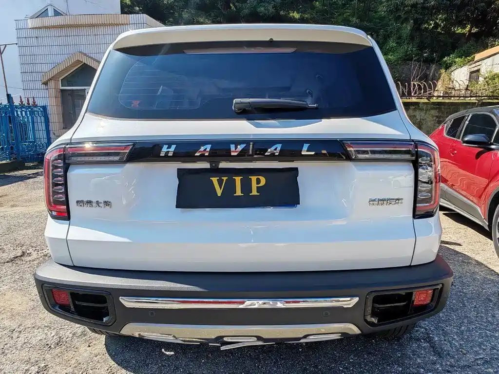 HAVAL BIG DOG