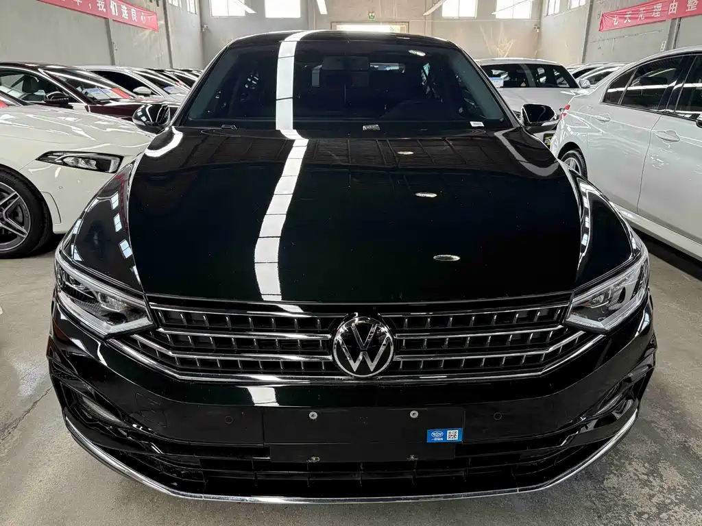 Volkswagen Magotan — миниатюра 2