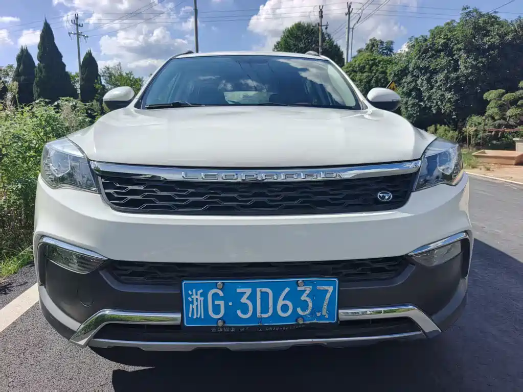 CHEETAH CARS CHEETAH CS10