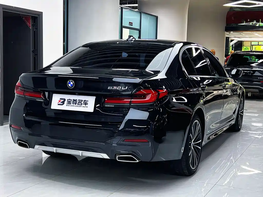 BMW 5 Series — миниатюра 11