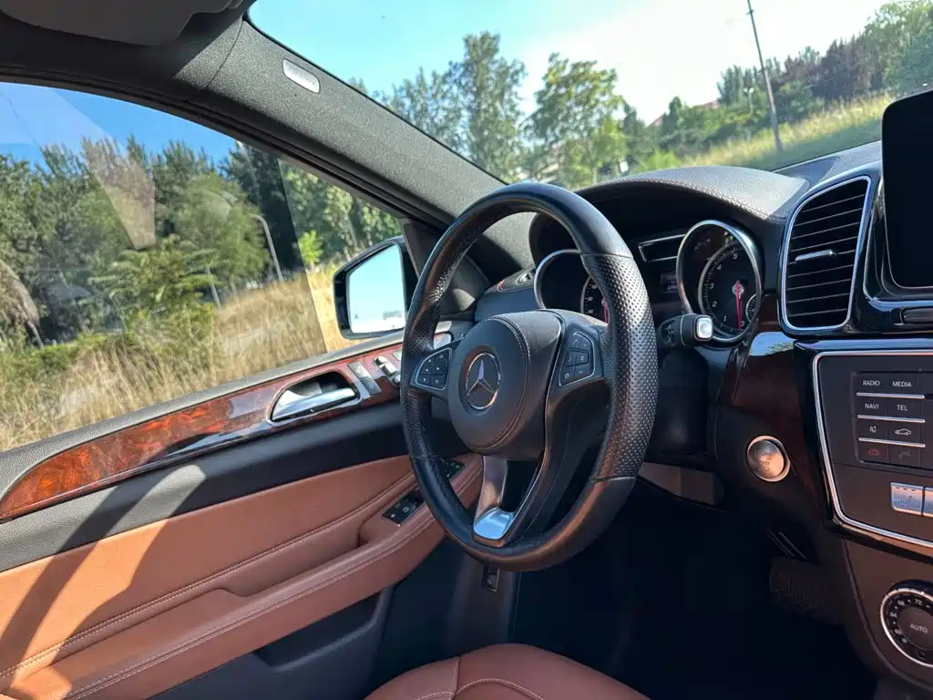 Mercedes-Benz GLS — миниатюра 19