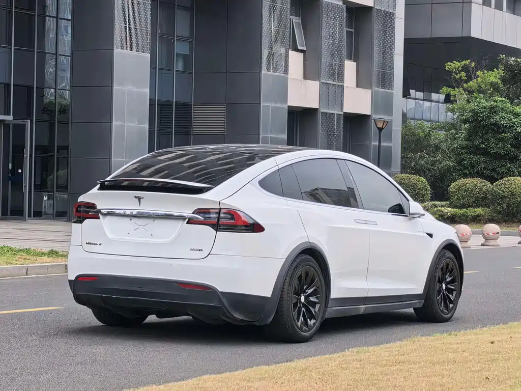 Tesla Model X 2017 Model X 100D