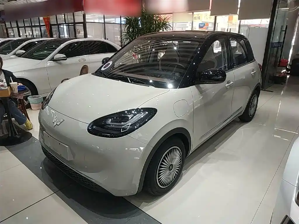 Wuling Bingo 2024