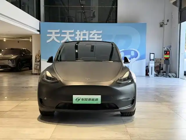 Tesla Model Y — миниатюра 2