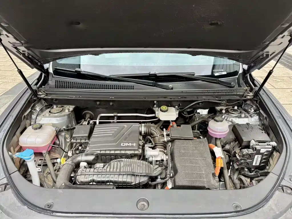 BYD Pro New Energy — миниатюра 10
