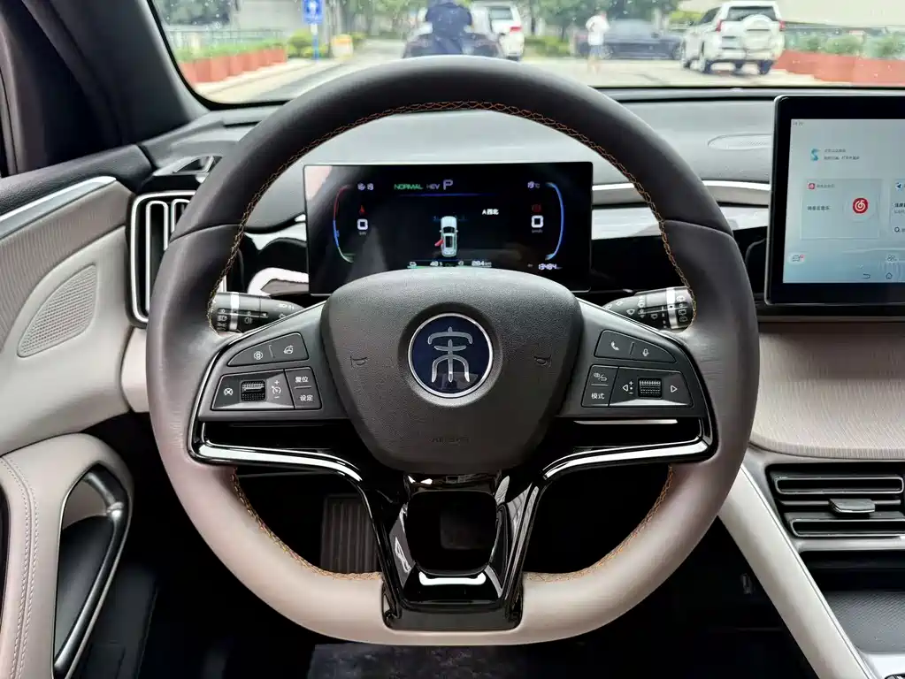 BYD Pro New Energy — миниатюра 12