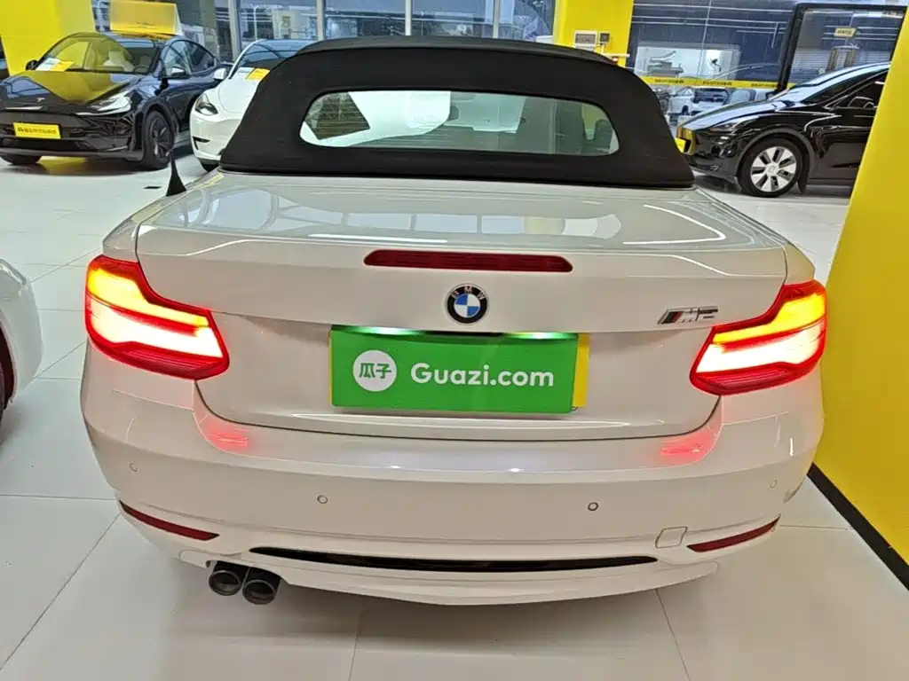 BMW 2 Series (Import) — миниатюра 6